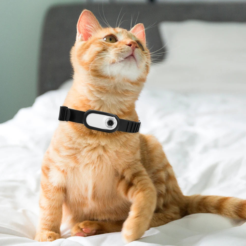 Camera Collar for Cats & Dogs – Pet POV HD Video Recorder